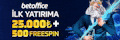 Logo 13
